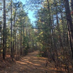 Photo #1 of Mountain Creek Road, Meherrin, VA 25.2 acres