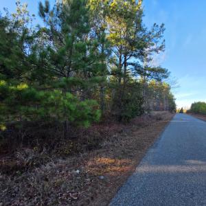 Photo #2 of Mountain Creek Road, Meherrin, VA 25.2 acres