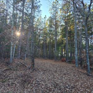 Photo #2 of Mountain Creek Road, Meherrin, VA 121.0 acres