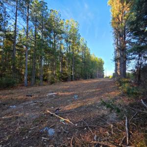 Photo #1 of Mountain Creek Road, Meherrin, VA 121.0 acres