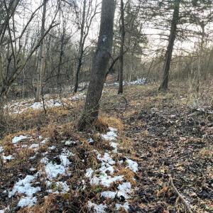 Photo #19 of 753 Burks Hill, Bedford, VA 7.4 acres