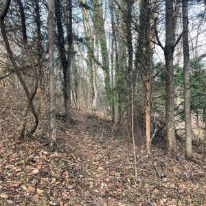 Photo #18 of 753 Burks Hill, Bedford, VA 7.4 acres