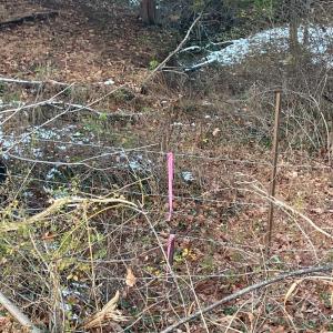 Photo #25 of 753 Burks Hill, Bedford, VA 7.4 acres