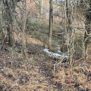 Photo #16 of 753 Burks Hill, Bedford, VA 7.4 acres