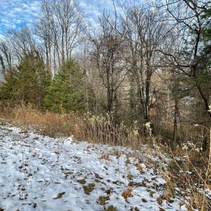 Photo #15 of 753 Burks Hill, Bedford, VA 7.4 acres