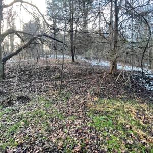 Photo #24 of 753 Burks Hill, Bedford, VA 7.4 acres