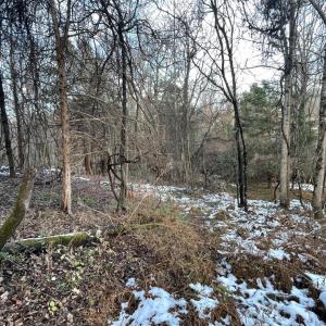 Photo #21 of 753 Burks Hill, Bedford, VA 7.4 acres