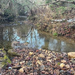 Photo #22 of 753 Burks Hill, Bedford, VA 7.4 acres