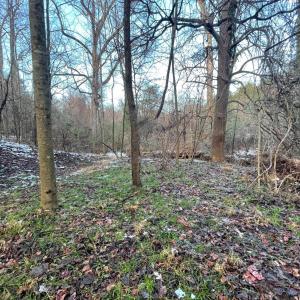 Photo #23 of 753 Burks Hill, Bedford, VA 7.4 acres