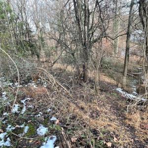 Photo #17 of 753 Burks Hill, Bedford, VA 7.4 acres