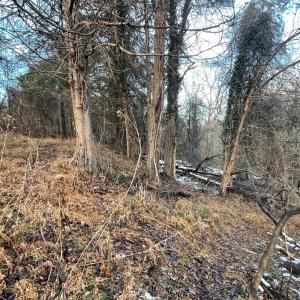 Photo #20 of 753 Burks Hill, Bedford, VA 7.4 acres