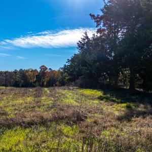 Photo #26 of Hat Creek Road, Brookneal, VA 20.9 acres