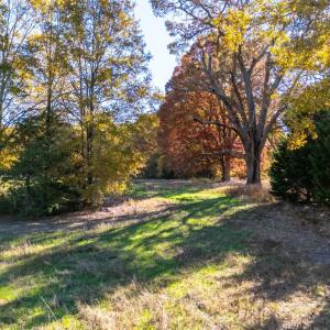 Photo #21 of Hat Creek Road, Brookneal, VA 20.9 acres