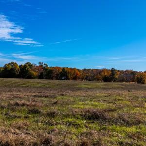 Photo #27 of Hat Creek Road, Brookneal, VA 20.9 acres