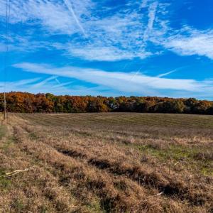 Photo #28 of Hat Creek Road, Brookneal, VA 20.9 acres