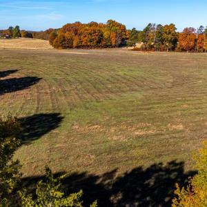 Photo #19 of Hat Creek Road, Brookneal, VA 20.9 acres