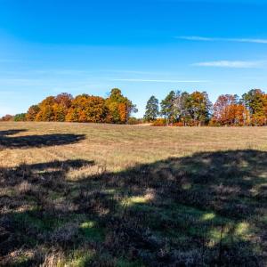 Photo #20 of Hat Creek Road, Brookneal, VA 20.9 acres