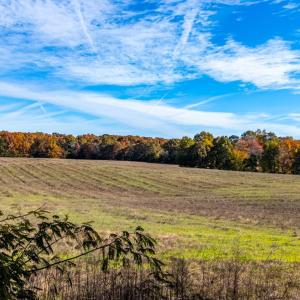 Photo #30 of Hat Creek Road, Brookneal, VA 20.9 acres