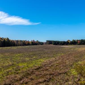 Photo #24 of Hat Creek Road, Brookneal, VA 20.9 acres