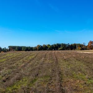 Photo #25 of Hat Creek Road, Brookneal, VA 20.9 acres