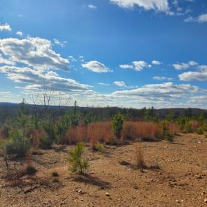 Photo #12 of 5150 Norwood Road, Gladstone, VA 206.7 acres