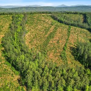 Photo #27 of 5150 Norwood Road, Gladstone, VA 206.7 acres