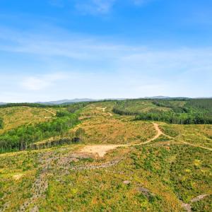 Photo #24 of 5150 Norwood Road, Gladstone, VA 206.7 acres