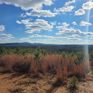 Photo #15 of 5150 Norwood Road, Gladstone, VA 206.7 acres