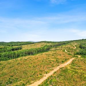 Photo #25 of 5150 Norwood Road, Gladstone, VA 206.7 acres