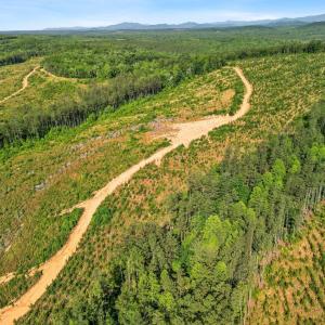 Photo #28 of 5150 Norwood Road, Gladstone, VA 206.7 acres