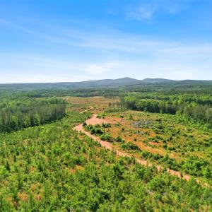 Photo #28 of 5150 Norwood Road, Gladstone, VA 206.7 acres