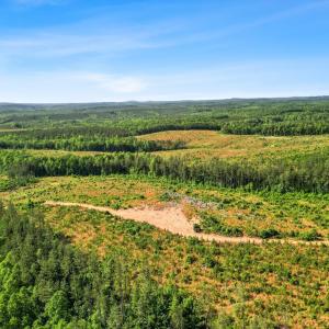 Photo #27 of 5150 Norwood Road, Gladstone, VA 206.7 acres