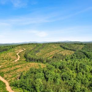 Photo #24 of 5150 Norwood Road, Gladstone, VA 206.7 acres