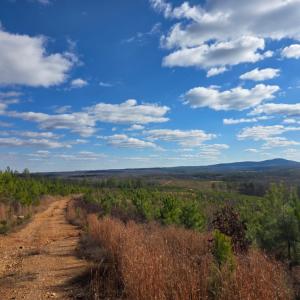 Photo #17 of 5150 Norwood Road, Gladstone, VA 206.7 acres