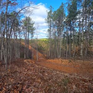 Photo #7 of 4608 Norwood Road, Gladstone, VA 160.2 acres