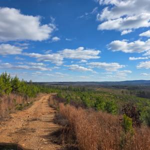 Photo #19 of 4608 Norwood Road, Gladstone, VA 160.2 acres