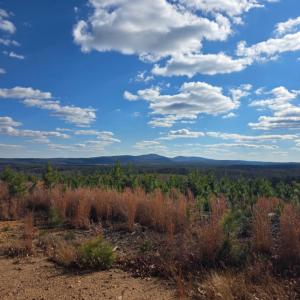 Photo #15 of 4608 Norwood Road, Gladstone, VA 160.2 acres