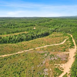 Photo #21 of 4608 Norwood Road, Gladstone, VA 160.2 acres