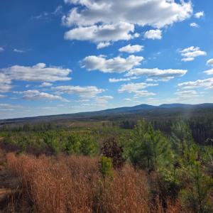 Photo #17 of 4608 Norwood Road, Gladstone, VA 160.2 acres