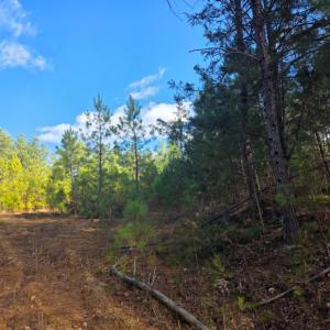 Photo #1 of 4608 Norwood Road, Gladstone, VA 160.2 acres