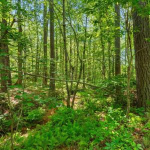 Photo #24 of 4608 Norwood Road, Gladstone, VA 160.2 acres