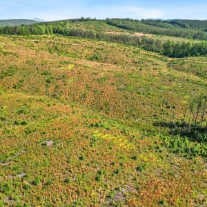 Photo #22 of 4608 Norwood Road, Gladstone, VA 160.2 acres