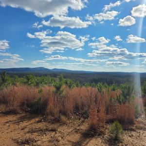 Photo #10 of 4608 Norwood Road, Gladstone, VA 160.2 acres