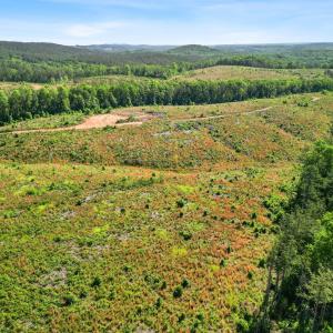 Photo #23 of 4608 Norwood Road, Gladstone, VA 160.2 acres