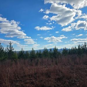 Photo #15 of 4608 Norwood Road, Gladstone, VA 160.2 acres