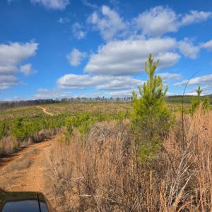 Photo #1 of Norwood Road, Gladstone, VA 366.9 acres