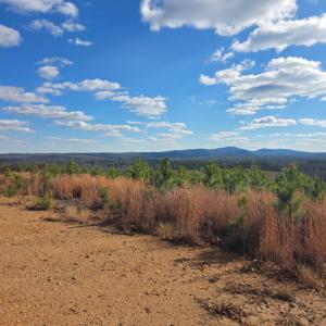 Photo #11 of Norwood Road, Gladstone, VA 366.9 acres