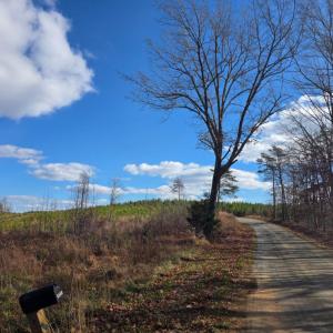 Photo #20 of Norwood Road, Gladstone, VA 366.9 acres