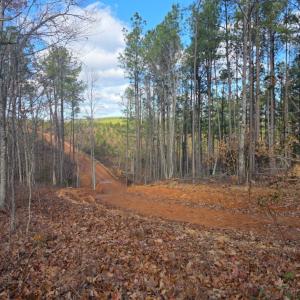 Photo #7 of Norwood Road, Gladstone, VA 366.9 acres