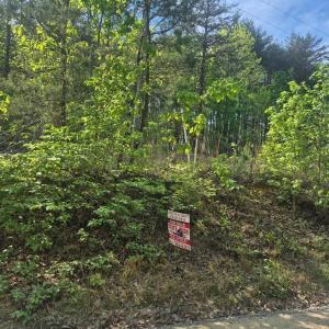Photo #2 of Mountain Creek Rd, Green Bay, VA 2.9 acres